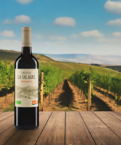 Alternative view of Bergerac Rouge AOC 2020 - trocken | VINOGREENO