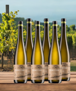 Alternative view of Probierpaket | Weingut Forster | 6 x 0,75 l