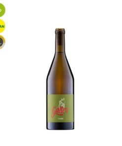 Orange | Sauvignac trocken 2019 | Weingut Galler | Bio & Vegan Weingut Galler | Pfalz | Deutschland