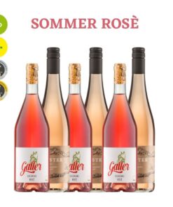 Probierpaket | Deutsche Rosé | 6 x 0,75 l Weingut Forster / Weingut Galler