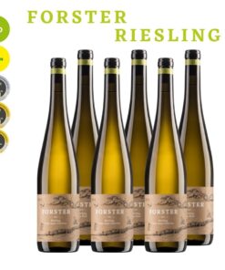 Probierpaket | Weingut Forster | 6 x 0,75 l Weingut Forster