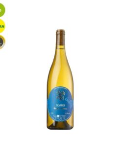 Silvaner "Gegenstrom" 2018 | Öko-Weingut Zang | bio & prämiert Öko-Weingut Zang