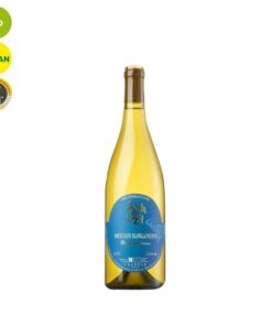 Weisser Burgunder "Gegenstrom" 2018 | Öko-Weingut Zang | bio & prämiert Öko-Weingut Zang